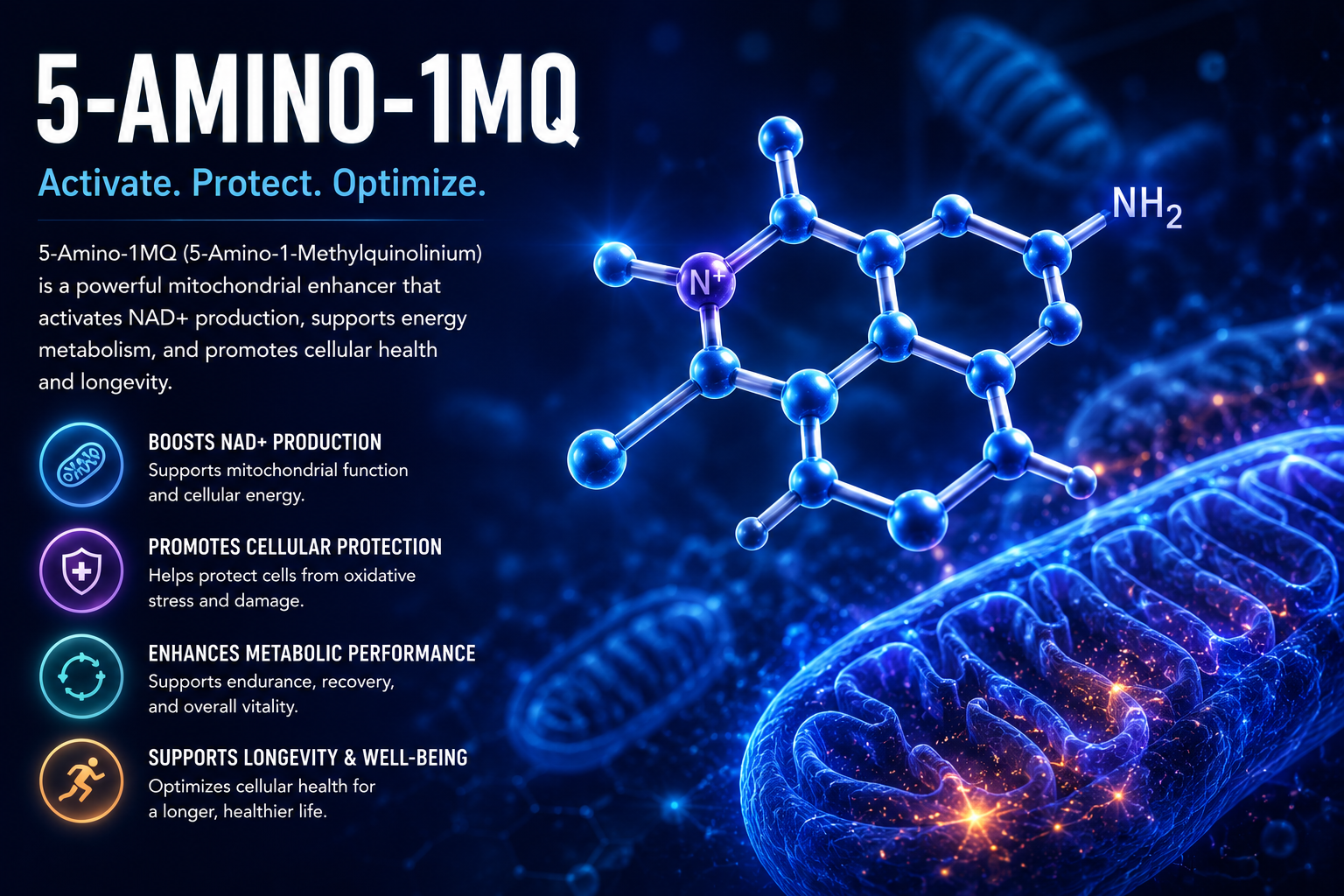 5-Amino 1MQ 5-Amino 1MQ