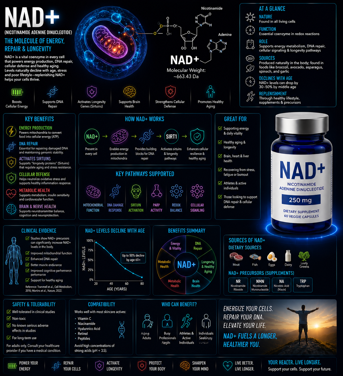NAD⁺ (Nicotinamide Adenine Dinucleotide) NAD⁺ (Nicotinamide Adenine Dinucleotide)