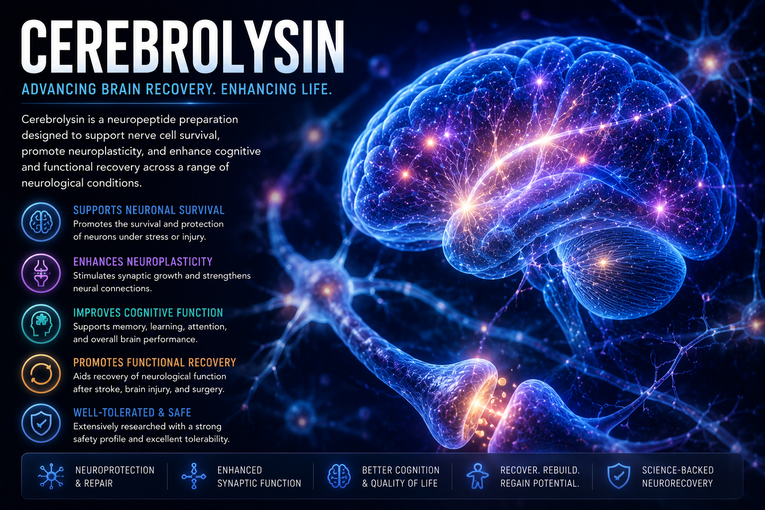 CEREBROLYSIN CEREBROLYSIN