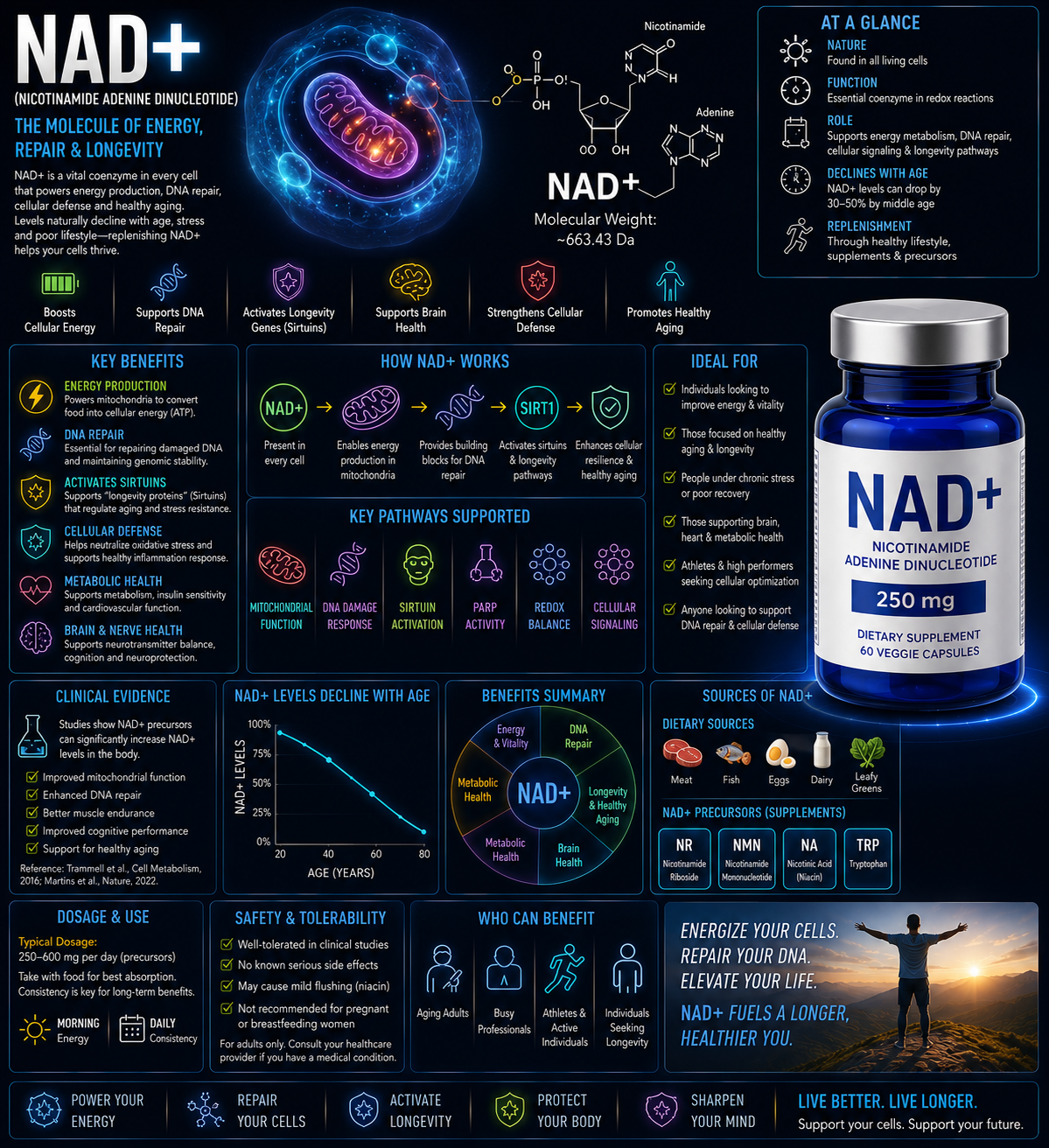 NAD⁺ (Nicotinamide Adenine Dinucleotide) NAD⁺ (Nicotinamide Adenine Dinucleotide)