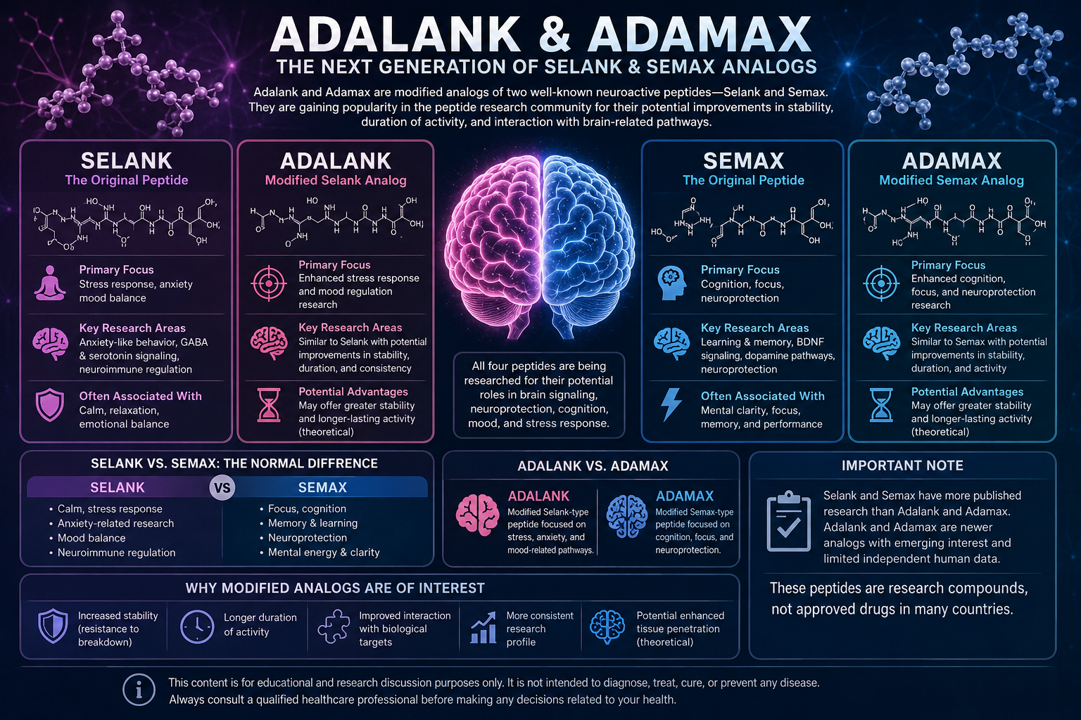 Adalank and Adamax: Why Are They Gaining Attention