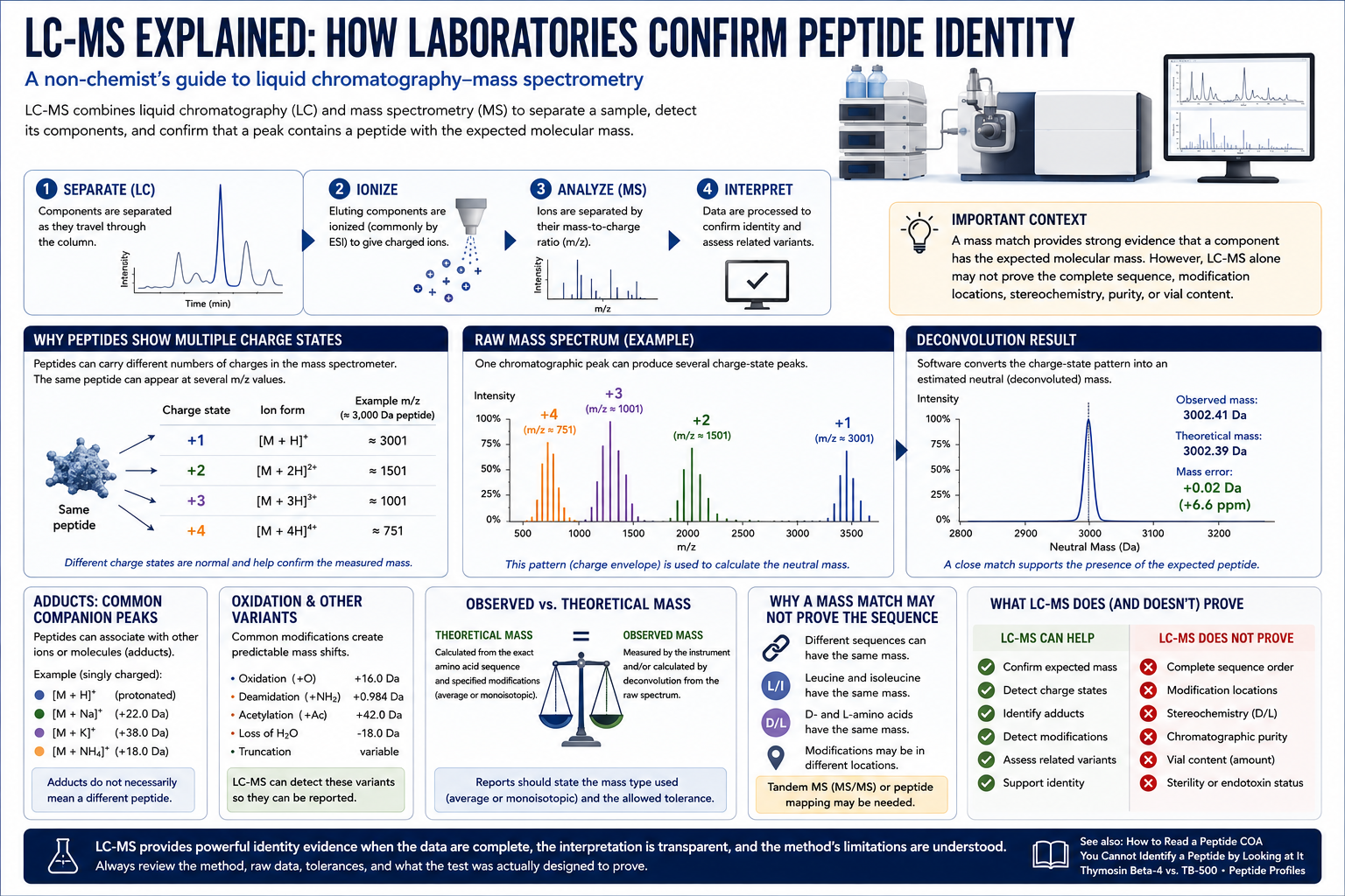 LC-MS Explained: How Laboratories Confirm Peptide Identity