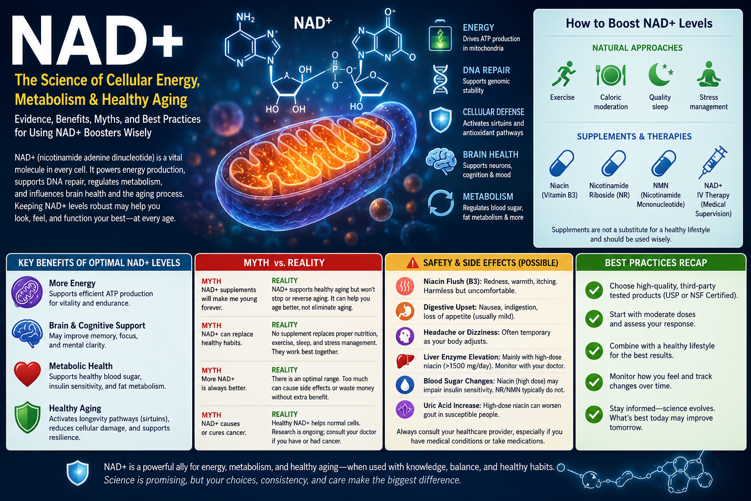 NAD+ Complete Guide – The Cellular Coenzyme